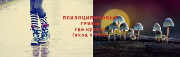 герыч Верхний Тагил