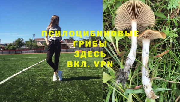 герыч Верхний Тагил